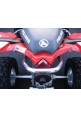 GRAB BAR STANDARD - 2008