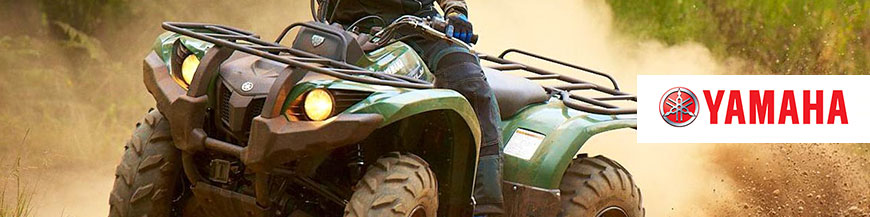 GRIZZLY 550-700FI (2007-2015)